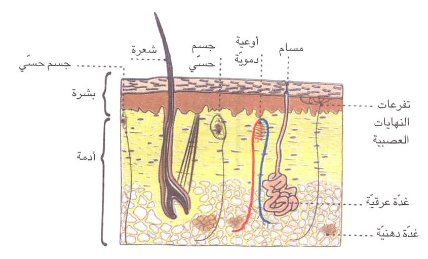 لأمراض الجرثومية و الوقاية منها by ANIS - Ourboox.com