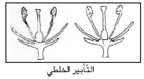 التكاثر الزهري by sahar ben hamed - Ourboox.com