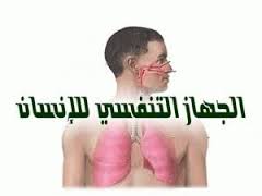 de mon ecole a ma vil by mahmoud - Ourboox.com