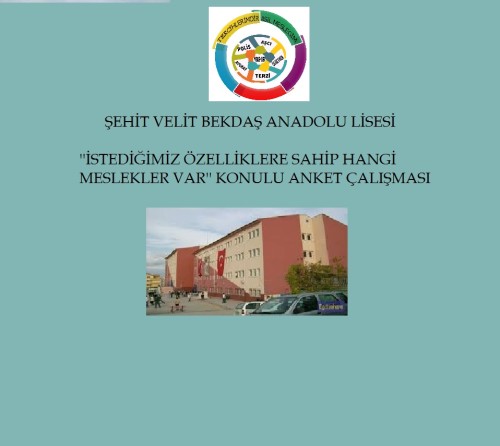 ŞEHİT VELİT BEKDAŞ ANADOLU LİSESİ by Buğu İzlem Özden - Ourboox.com