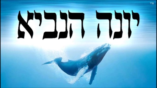 ספר יונה by dalit malka - Ourboox.com