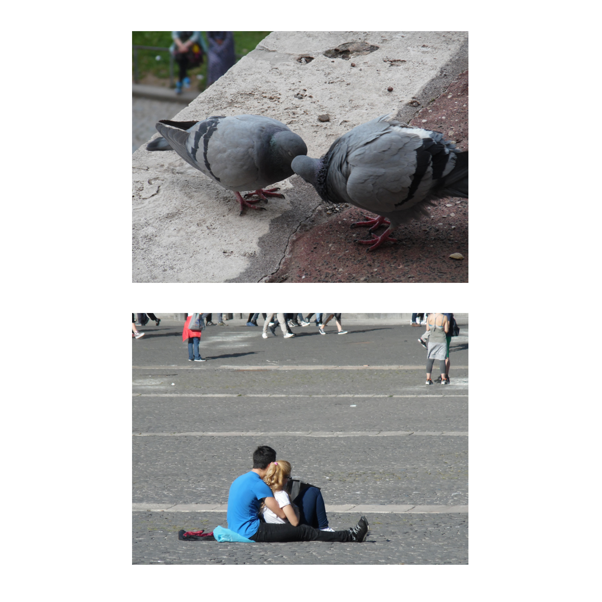 פרויקט מעשי בצילום by Jhonatan Maiman - Illustrated by Jhonatan Maiman - Ourboox.com