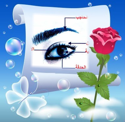 Mohamed chelbi by mohamed chelbi - Ourboox.com