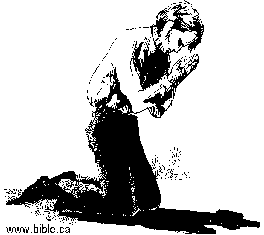 A Miracle by reemagroup - Ourboox.com