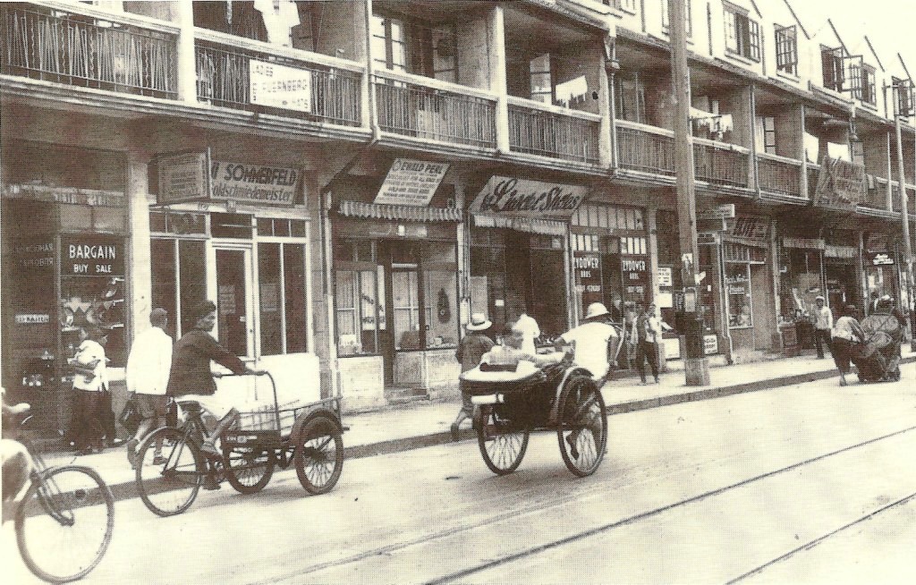 The Shanghai Jews by Roy Guy - Ourboox.com