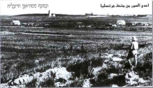 The Shanghai Jews by Roy Taub - Ourboox.com