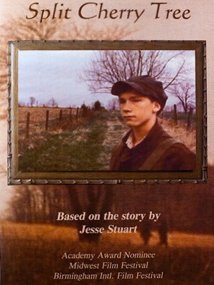 the spilt charry tree by ansam kilany - Ourboox.com