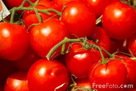 التكاثر الزهري by roua soyeh - Ourboox.com