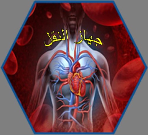 جهاز النقل by magda - Illustrated by ماجدة زيدان + هدى عمر + نجوان غره +فدوى زيدان - Ourboox.com