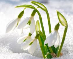 by Nataliya - Illustrated by Авторська робота вчителя початкових класів Менської ЗОШ І-ІІІ ст. ім Т.Г.Шевченка Майстренко Наталії Михайлівни - Ourboox.com