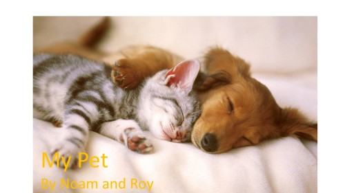 My Pet by Noam - Ourboox.com