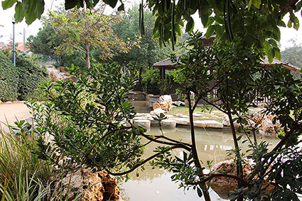 עבודה בצילום by shaked - Illustrated by שקד אליהו - Ourboox.com