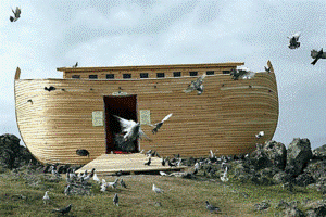 גן החיות התנכי בי”ס שלמון ראשון לציון ד 2 by salmon - Ourboox.com