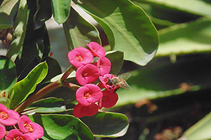 פרויקט בצילום by surafel - Illustrated by סוראפל דמילאו - Ourboox.com