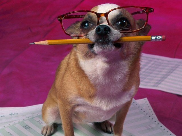 Derbi-2017 by Aviv - Illustrated by Aviv and Noa - Ourboox.com