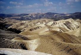 Save the word-Khazneh hossin by save - Ourboox.com