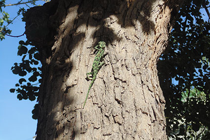 פרויקט בצילום by surafel - Illustrated by סוראפל דמילאו - Ourboox.com