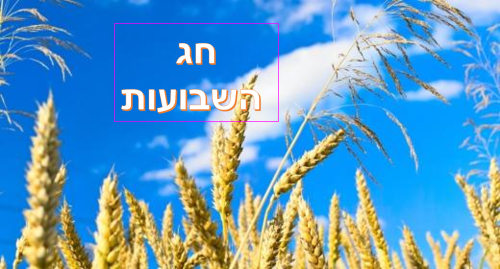 חג השבועות by inon - Ourboox.com