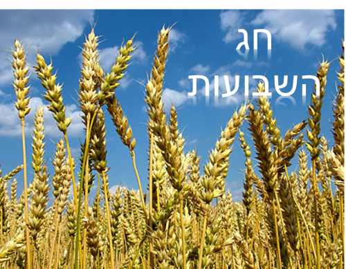 חג השבועות by shelly - Ourboox.com