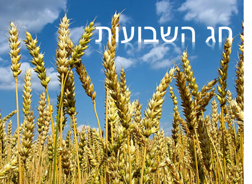 חג השבועות by guy lictman - Ourboox.com