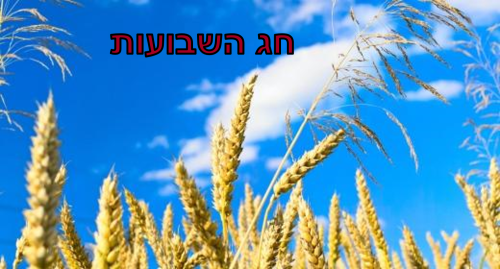 חג השבועות by miri - Ourboox.com