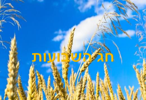 חג השבועות by einat - Ourboox.com