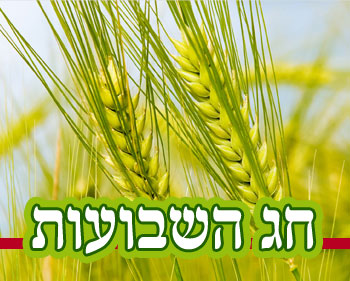 חג שבועות by itamar karlik - Ourboox.com