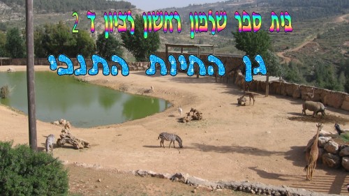 גן החיות התנכי בי”ס שלמון ראשון לציון ד 2 by salmon - Ourboox.com