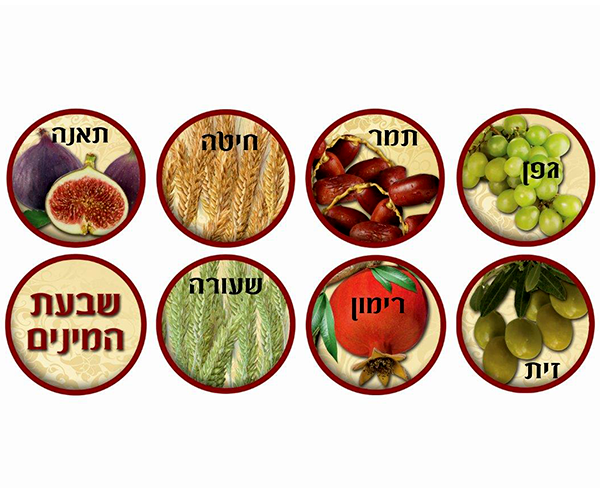 אַגָּדָה עַל שִׁבְעַת הַמִּינִים / אֱלִיעֶזֶר טירקל by yana - Ourboox.com