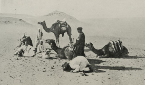 מדריך לתייר- חצי האי ערב by yael bahat - Illustrated by מאיה מלמד, יעל בהט ושחר חביון - Ourboox.com