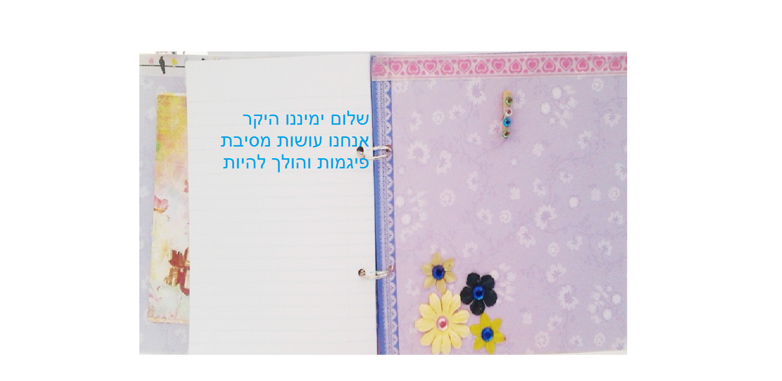 יומני הסודי ביותר by shany - Ourboox.com