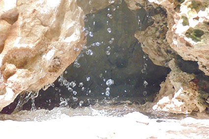 פרויקט בצילום by surafel - Illustrated by סוראפל דמילאו - Ourboox.com