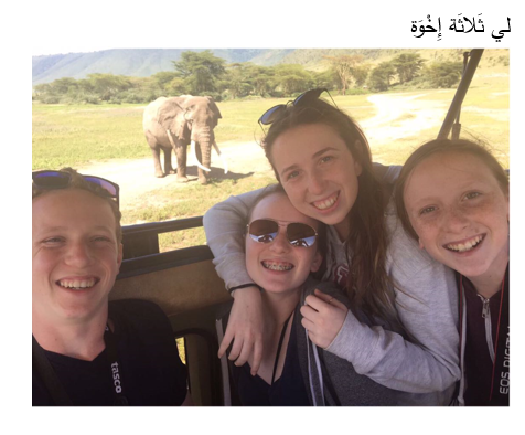 עבודה בערבית – משפחתי عَائِلَتِي by lia heller - Illustrated by ליה הלר  - Ourboox.com