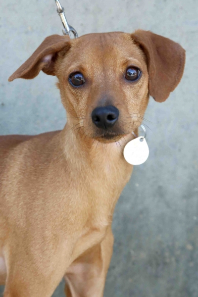 Derbi-2017 by Aviv - Illustrated by Aviv and Noa - Ourboox.com