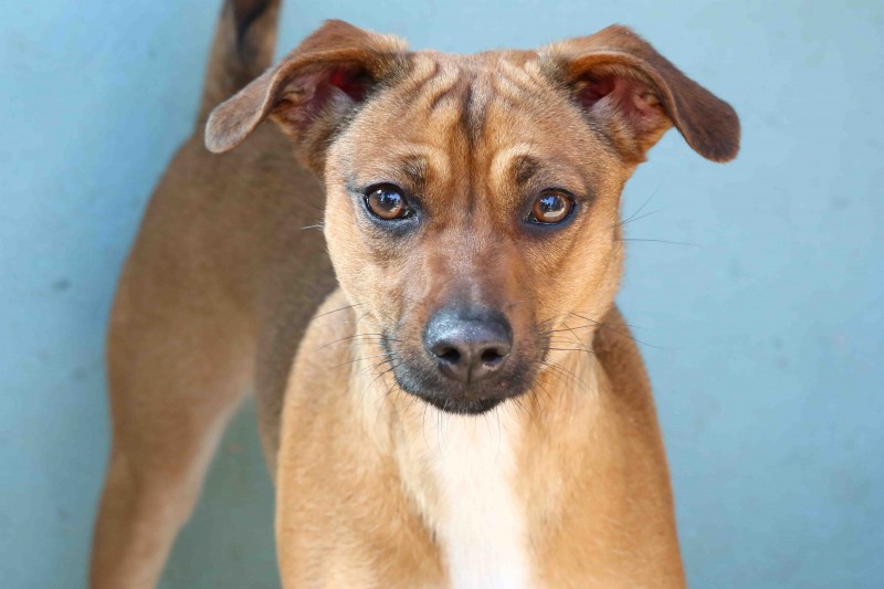 Derbi-2017 by Aviv - Illustrated by Aviv and Noa - Ourboox.com