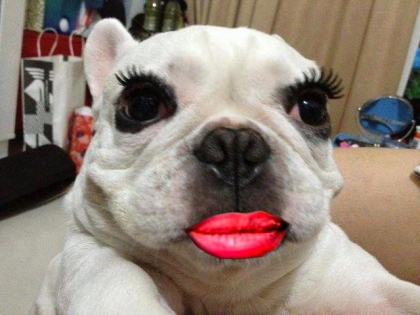 נועם ונועה כיתה ב2 הכלבלבה האבודה by amir - Ourboox.com