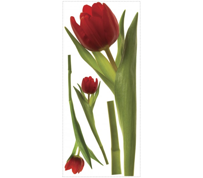 טוליפ הקטן by noa baumgarten - Ourboox.com