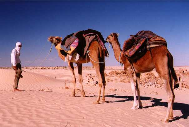 מוחמד- עבודה בהיסטוריה by may - Illustrated by מגישות: רוזי, דורין ומאי ברקוביץ - Ourboox.com