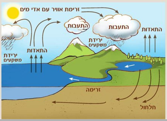 מחזור המים בטבע by nurit - Illustrated by נורית רשף - Ourboox.com
