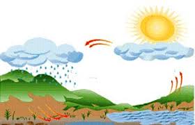 מחזור המים בטבע by nurit - Illustrated by נורית רשף - Ourboox.com