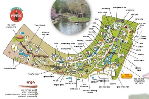 גן החיות התנכי בי”ס שלמון ראשון לציון ד 2 by salmon - Ourboox.com