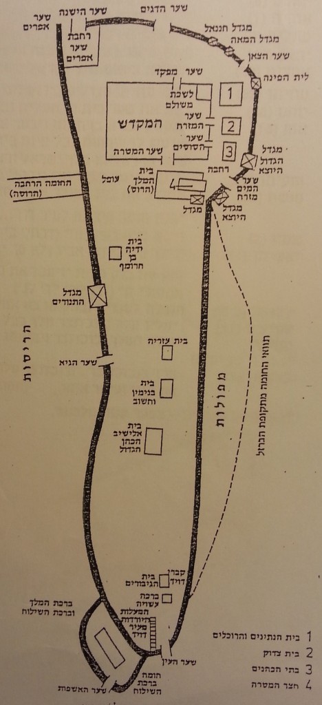 התקופה הפרסית – גישור by nir.suess - Illustrated by ניר זיס - Ourboox.com