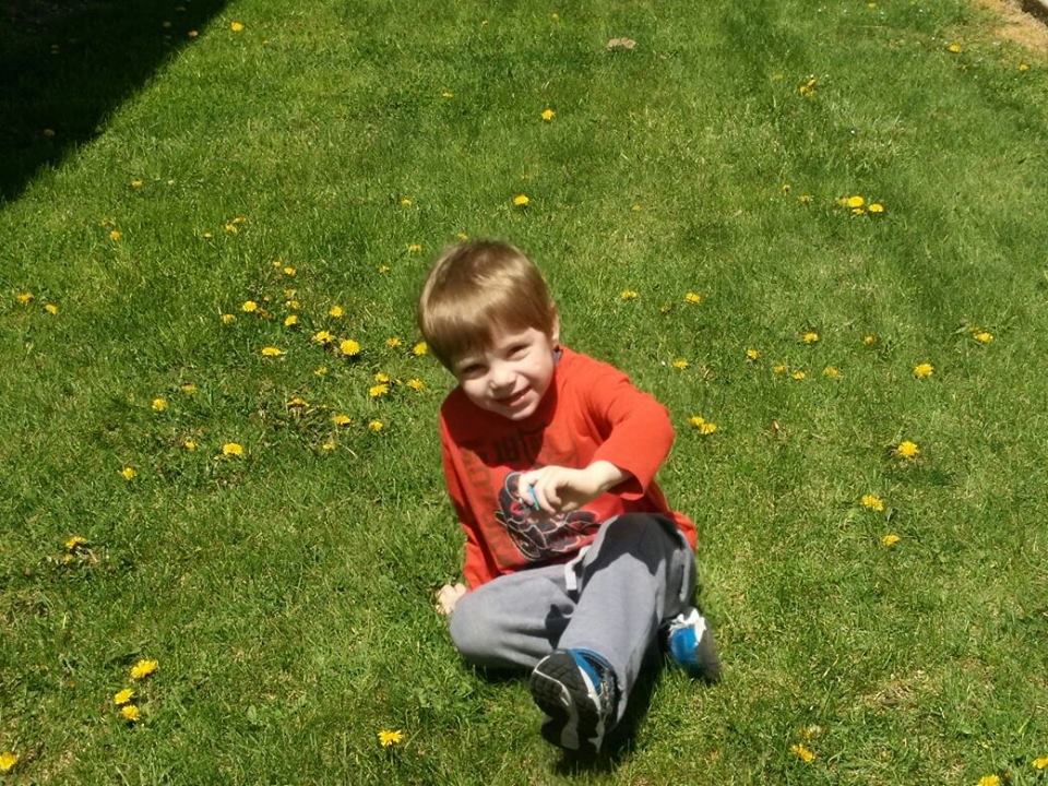 אחיין סנדוויץ - נריה