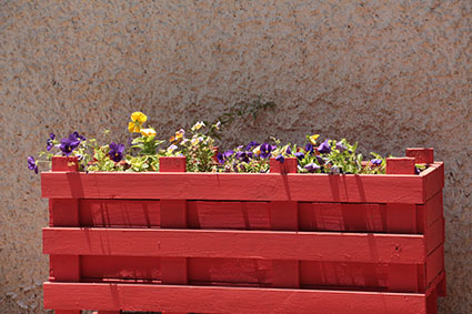 עבודה בצילום by shaked - Illustrated by שקד אליהו - Ourboox.com