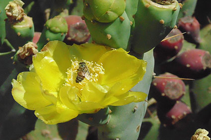 פרויקט בצילום by surafel - Illustrated by סוראפל דמילאו - Ourboox.com