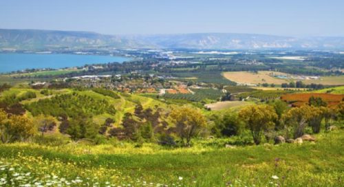 הספר הדיגיטלי של נטע שטית by netashitrit - Illustrated by נטע שטרית - Ourboox.com