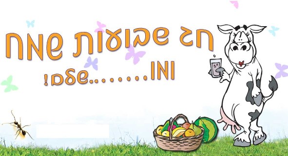 חג שבועות by avigail - Ourboox.com