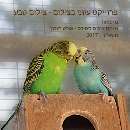 צילום by noyeli - Illustrated by נוי מאור  - Ourboox.com