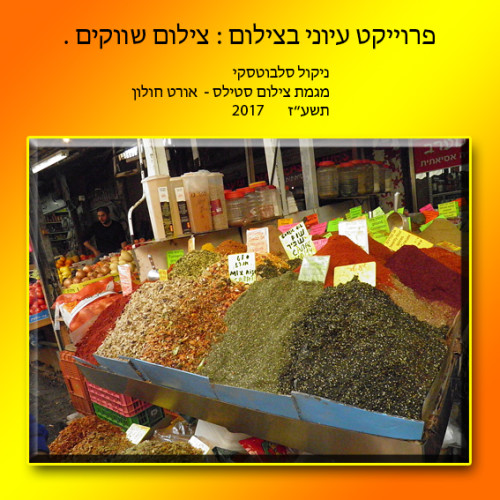 עבודה בצילום by nicole slavutsky - Illustrated by ניקול סלבוטסקי - Ourboox.com