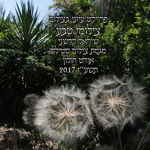 פרויקט עיוני בצילום by shirel kadshny - Ourboox.com
